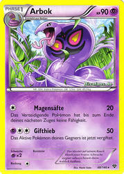 XY-Basisset 48/146 Arbok