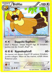 XY-Basisset 107/146 Bidifas