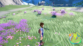 Beispiel von der Chaneira-Methode zum Leveln in Pokémon Karmesin und Purpur