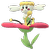 Flabébé Rotblütler