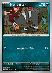 Prismatische Entwicklungen 062/131 Hunduster