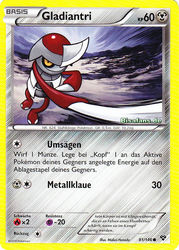 XY-Basisset 81/146 Gladiantri