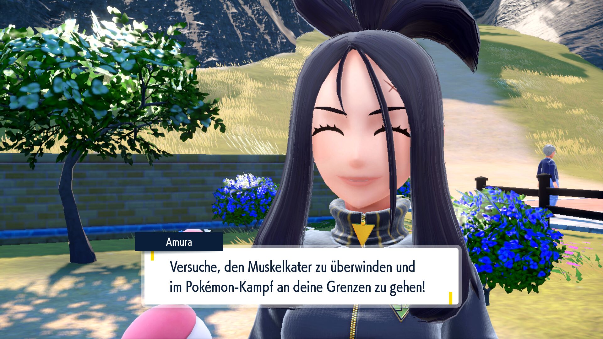 Screenshot zur Bisafans-Komplettlösung Screenshot zur Bisafans-Komplettlösung