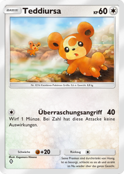 Verborgene Quelle 060/071 Teddiursa
