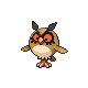 Hoothoot