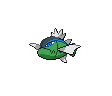 Blauliniges Barschuft Blauliniges Barschuft