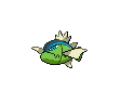 Blauliniges Barschuft Blauliniges Barschuft