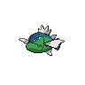 Blauliniges Barschuft Blauliniges Barschuft