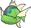 Blauliniges Barschuft Blauliniges Barschuft