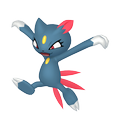 Sniebel ♀ Sniebel ♀
