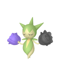Roselia Roselia