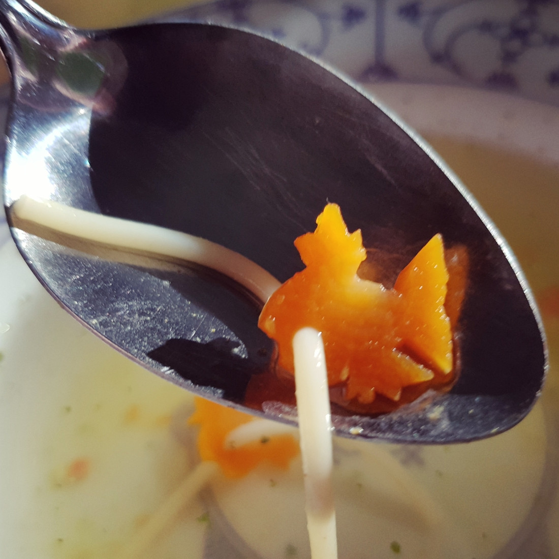 Karpador-Suppe Karpador-Suppe