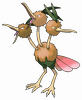Dodri