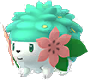 Shaymin