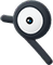 Icognito P