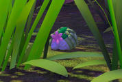 Beispielfoto für Shaymin