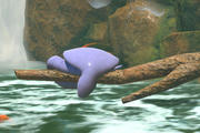 Beispielfoto für Arbok