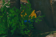 Beispielfoto für Vivillon Flussdeltamuster