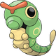 Raupy