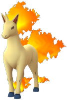 Gallopa Gallopa