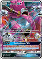 096 Hoopa GX