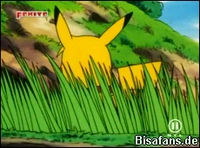 Screenshot  Screenshot