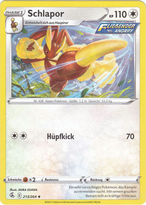 213/264 Schlapor