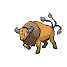  Tauros 