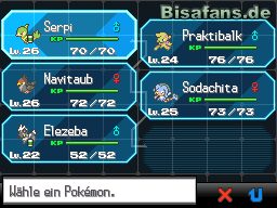 Mein Team vor dem Kampf