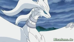 Screenshot von Reshiram