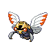 Ninjask