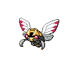 Ninjask