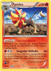 Flammenmeer 20/106 Pyroleo
