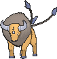Tauros Tauros