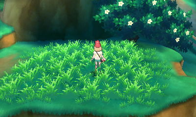 Screen Screen