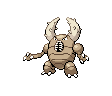 Pinsir Pinsir