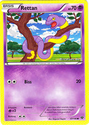 XY-Basisset 47/146 Rettan