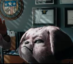 Snubbull
