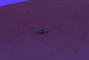 Beispielfoto für Tuska
