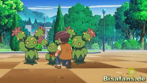 Screenshot von Maracamba