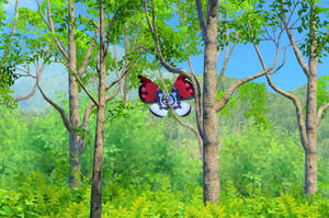 Beispielfoto für Vivillon