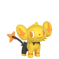 Sheinux ♀