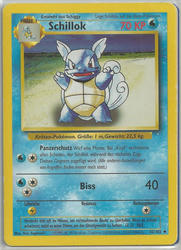 Basis-Set 42/102 Schillok