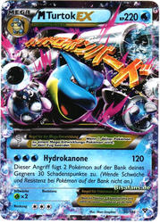 XY-Basisset 30/146 M Turtok EX