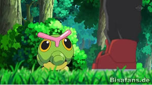 Screenshot von Raupy