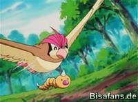 Screenshot von Hornliu