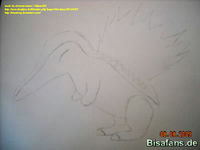 Zeichenkurs Feurigel - Schritt 5