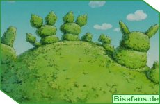 Richtig coole Hecken Richtig coole Hecken