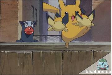 Auf der Flucht... Auf der Flucht...