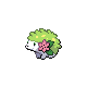 Shaymin Shaymin
